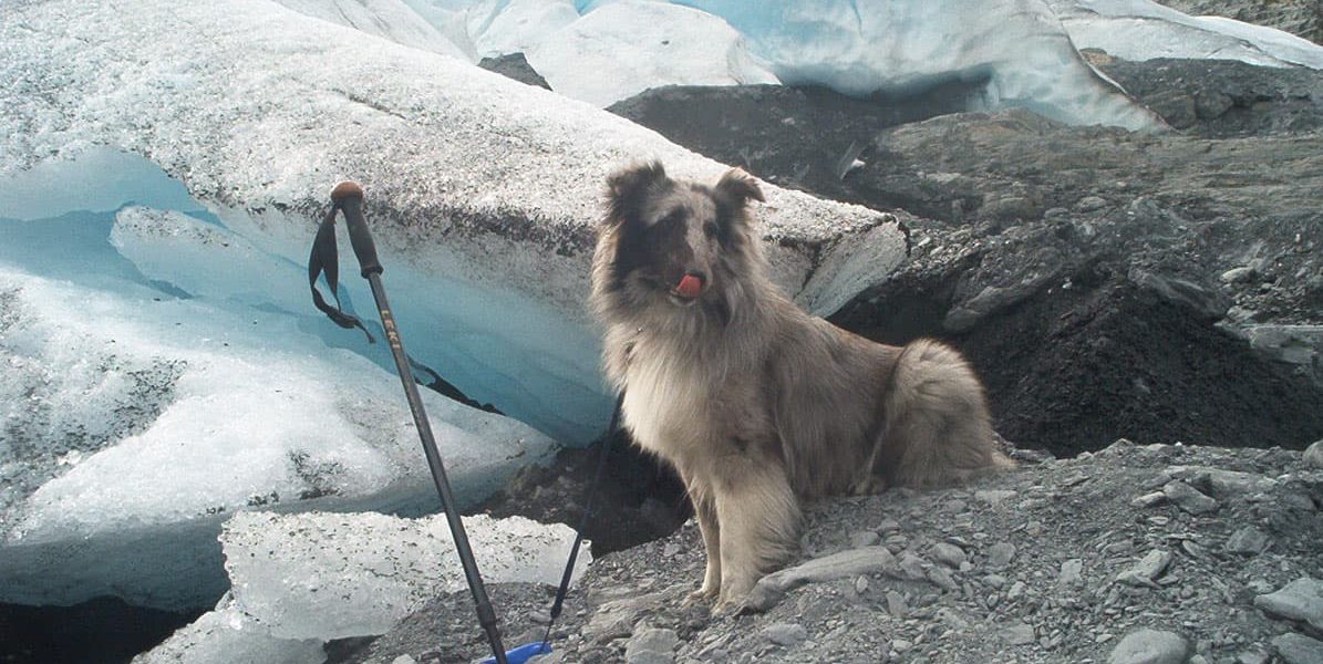Tatamagouche at Worthington Glacier, AK